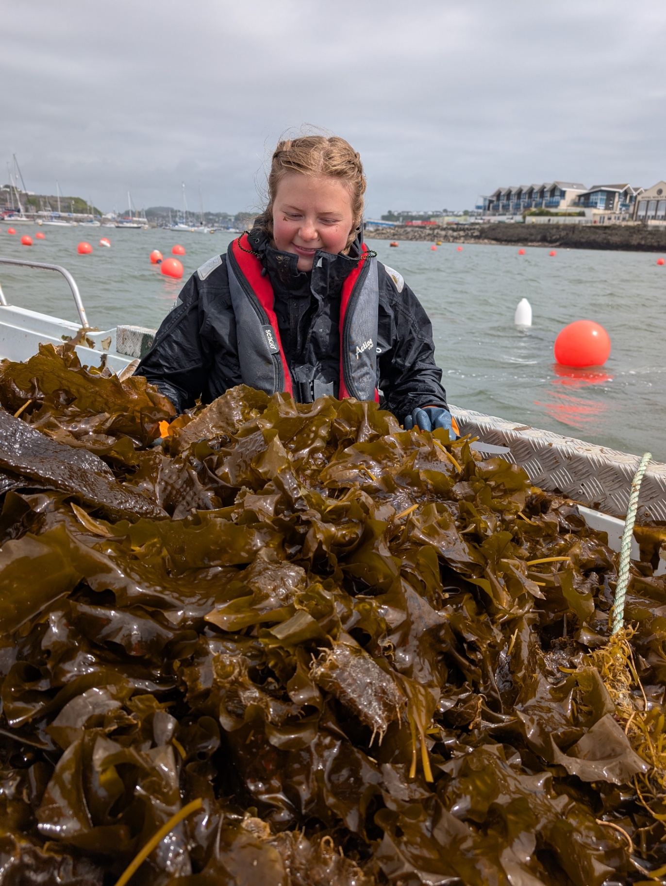 2 tonnes of kelp down. I think we are still having fun. 13 more to go...